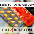 Kamagra 100Mg Oral Jelly new01